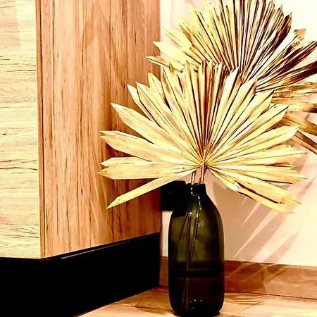 Studiocalifornia-parking-plages 15 Min Walk Cannes